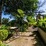 Quinta Belmonte With Private Heated Pool In * Funchal (Madeira)