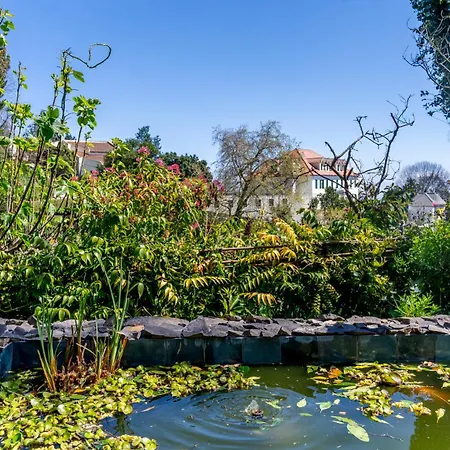 Вилла Quinta Belmonte With Private Heated Pool In Фуншал