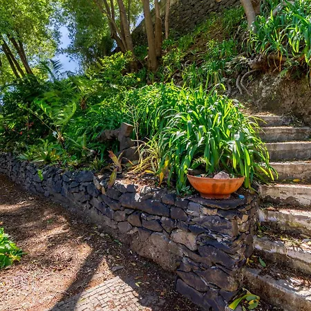 Quinta Belmonte With Private Heated Pool In Фуншал