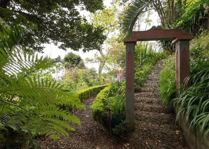 Quinta Belmonte With Private Heated Pool In * Funchal (Madeira)