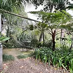 Quinta Belmonte With Private Heated Pool In Funchal (Madeira)