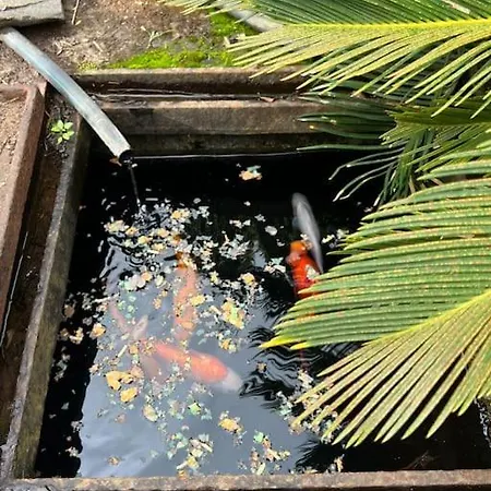 Villa Quinta Belmonte With Private Heated Pool In Funchal (Madeira)