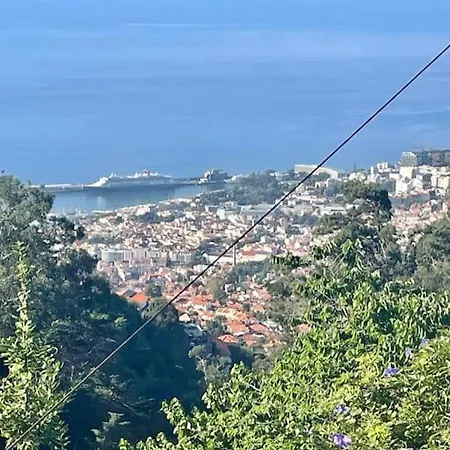 Quinta Belmonte With Private Heated Pool In Funchal (Madeira)