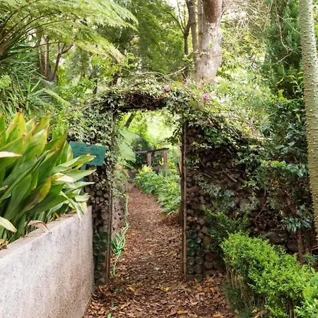 Quinta Belmonte With Private Heated Pool In Villa Funchal (Madeira)