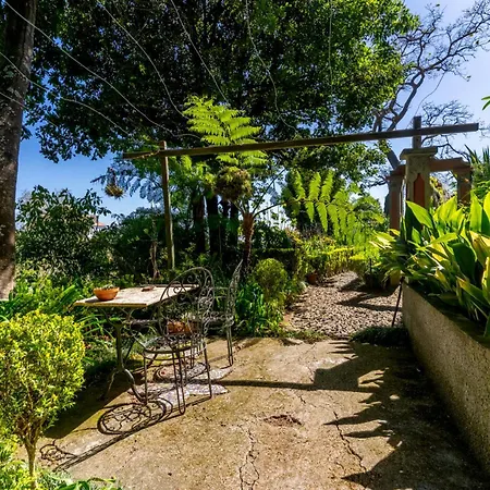 Quinta Belmonte With Private Heated Pool In * Funchal