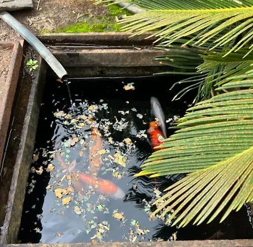 Βίλα Quinta Belmonte With Private Heated Pool In Φουνκάλ